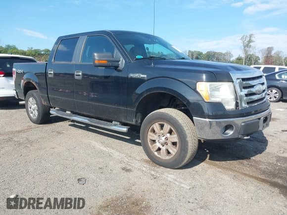 ✅ 2009 Ford F-150 XL • VIN: 1FTRW14899FB19462 • Lot: 43173510. Listed on IAAI with 195,631 mi. Free auction sales archive from the USA and detailed vehicle history report at DreamBid. Image 1.