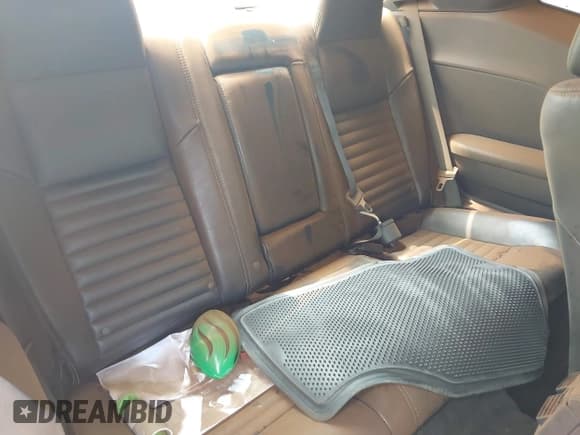 ✅ 2009 Dodge Challenger SE • VIN: 2B3LJ44V89H504636 • Lot: 42696125. Wystawiony na IAAI z przebiegiem 117 617 mil. Bezpłatny archiwum sprzedaży aukcyjnych z USA i szczegółowy raport historii pojazdu na DreamBid. Zdjęcie 8.