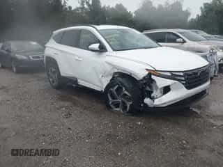 2023 Hyundai Tucson SEL с VIN 5NMJFCAE7PH252384, выставлен на аукционе IAAI как лот 43290932 с пробегом 8 004 миль миль и . История ставок и продаж доступна на DreamBid. Изображение 1.