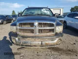 2002 Dodge 1500 z VIN 1D7HA16K62J240705, wystawiony jako Copart lot #69101794 z przebiegiem Nie podano mil oraz Szkoda całkowita • Salvage title. Historia ofert i sprzedaży dostępna na DreamBid. Obrazek 5.