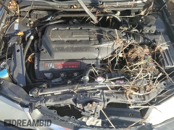 ✅ 2002 Acura TL Type S • VIN: 19UUA568X2A044370 • Lot: 91010985. Wystawiony na Copart z przebiegiem Nie podano. Bezpłatny archiwum sprzedaży aukcyjnych z USA i szczegółowy raport historii pojazdu na DreamBid. Zdjęcie 11.