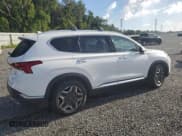 ✅ 2023 Hyundai Santa Fe Limited • VIN: 5NMS44AL5PH626392 • Lot: 66065944. Wystawiony na Copart z przebiegiem 954 mil. Bezpłatny archiwum sprzedaży aukcyjnych z USA i szczegółowy raport historii pojazdu na DreamBid. Zdjęcie 3.