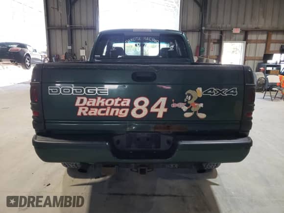 2000 Dodge 1500 with VIN 3B7HF13Z0YG125699, listed as a Copart auction lot 78959104 with Not provided miles and Salvage title. Bid and sale history available at DreamBid. Image 6.