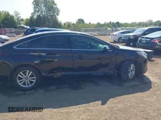 2017 Hyundai Sonata 2.4L с VIN 5NPE24AF5HH567703, выставлен на аукционе IAAI как лот 43232487 с пробегом 45 699 миль миль и . История ставок и продаж доступна на DreamBid. Изображение 6.