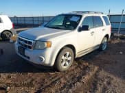 ✅ 2010 Ford Escape XLT • VIN: 1FMCU0DG3AKB43731 • Lot: 43790605. Wystawiony na IAAI z przebiegiem 210 384 mil. Bezpłatny archiwum sprzedaży aukcyjnych z USA i szczegółowy raport historii pojazdu na DreamBid. Zdjęcie 2.