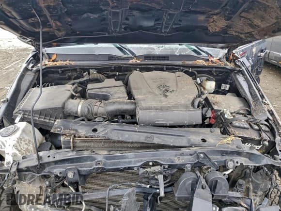 ✅ 2021 Toyota Tacoma SR5 • VIN: 3TMAZ5CN5MM144791 • Lot: 93942075. Listed on Copart with Not provided. Free auction sales archive from the USA and detailed vehicle history report at DreamBid. Image 11.