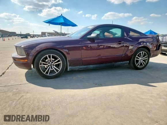 ✅ 2007 Ford Mustang Deluxe • VIN: 1ZVFT80N875210674 • Lot: 84933095. Listed on Copart with 204,834 mi. Free auction sales archive from the USA and detailed vehicle history report at DreamBid. Image 1.