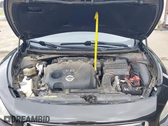 2013 Nissan Maxima SV с VIN 1N4AA5AP6DC847576, выставлен на аукционе IAAI как лот 42482471 с пробегом 201 012 миль миль и . История ставок и продаж доступна на DreamBid. Изображение 10.