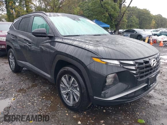 ✅ 2024 Hyundai Tucson Blue • VIN: KM8JBCD11RU223152 • Lot: 43410981. Listed on IAAI with 11,964 mi. Free auction sales archive from the USA and detailed vehicle history report at DreamBid. Image 1.
