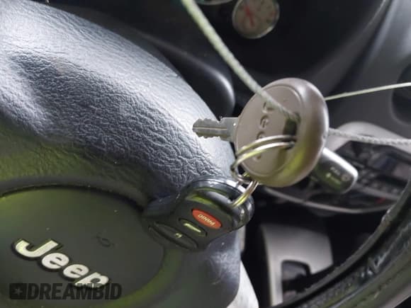 ✅ 2002 Jeep Liberty Limited • VIN: 1J4GL58K52W335578 • Lot: 43815066. Wystawiony na IAAI z przebiegiem 200 573 mil. Bezpłatny archiwum sprzedaży aukcyjnych z USA i szczegółowy raport historii pojazdu na DreamBid. Zdjęcie 11.