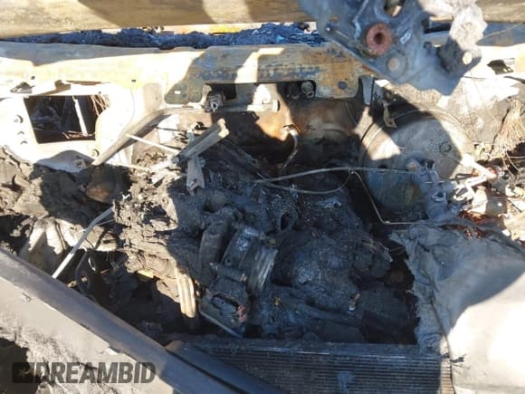 ✅ 2015 Ford Transit Cargo • VIN: 1FTNR1ZM0FKB02841 • Лот: 41411200. Опубликован ранее на IAAI с пробегом Не указан. Бесплатный доступ к архиву аукционных продаж из США и подробный отчёт об истории автомобиля на DreamBid. Изображение 10.