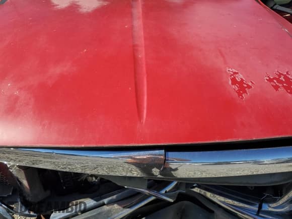 ✅ 1999 Ford F-350 XL • VIN: 1FTWW33F2XED44422 • Lot: 89482355. Listed on Copart with 331,412 mi. Free auction sales archive from the USA and detailed vehicle history report at DreamBid. Image 11.