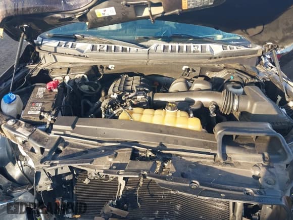 ✅ 2019 Ford F-150 XL • VIN: 1FTEW1EB8KFB83216 • Lot: 43679613. Listed on IAAI with 92,213 mi. Free auction sales archive from the USA and detailed vehicle history report at DreamBid. Image 10.