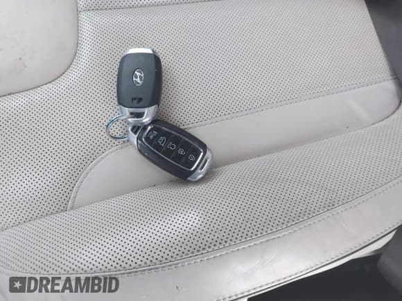 ✅ 2020 Hyundai Palisade Limited • VIN: KM8R5DHE7LU117180 • Лот: 41261839. Опубликован ранее на IAAI с пробегом 46 006 миль. Бесплатный доступ к архиву аукционных продаж из США и подробный отчёт об истории автомобиля на DreamBid. Изображение 11.