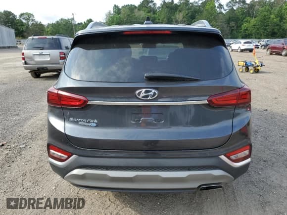 ✅ 2020 Hyundai Santa Fe SEL • VIN: 5NMS33AD3LH252896 • Lot: 55957044. Wystawiony na Copart z przebiegiem 29 357 mil. Bezpłatny archiwum sprzedaży aukcyjnych z USA i szczegółowy raport historii pojazdu na DreamBid. Zdjęcie 6.