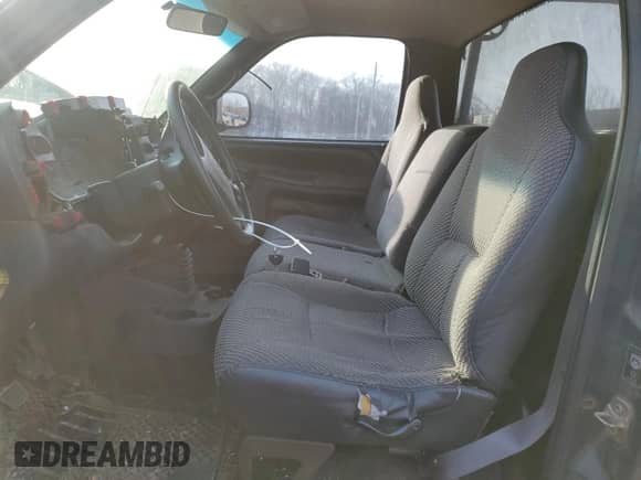 1999 Dodge 1500 with VIN 1B7HC16X5XS190087, listed as a Copart auction lot 46393795 with 174,178 mi miles and Salvage title. Bid and sale history available at DreamBid. Image 7.