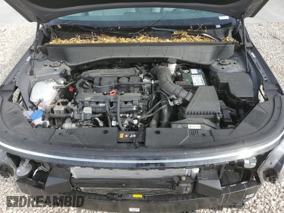 ✅ 2024 Hyundai Kona Limited • VIN: KM8HECA39RU024491 • Лот: 75445174. Опубликован ранее на Copart с пробегом 5 475 миль. Бесплатный доступ к архиву аукционных продаж из США и подробный отчёт об истории автомобиля на DreamBid. Изображение 12.