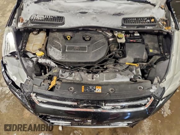 ✅ 2013 Ford Escape SEL • VIN: 1FMCU9H92DUA61238 • Lot: 95730675. Wystawiony na Copart z przebiegiem 146 282 mil. Bezpłatny archiwum sprzedaży aukcyjnych z USA i szczegółowy raport historii pojazdu na DreamBid. Zdjęcie 12.