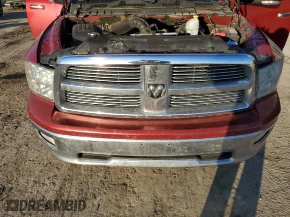 ✅ 2010 Dodge 1500 SLT • VIN: 1D7RV1CT4AS114437 • Lot: 42445995. Wystawiony na Copart z przebiegiem 229 536 mil. Bezpłatny archiwum sprzedaży aukcyjnych z USA i szczegółowy raport historii pojazdu na DreamBid. Zdjęcie 11.