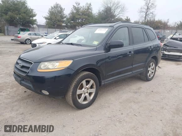 ✅ 2009 Hyundai Santa Fe Limited • VIN: 5NMSH73E09H300443 • Lot: 43881229. Listed on IAAI with 144,367 mi. Free auction sales archive from the USA and detailed vehicle history report at DreamBid. Image 2.
