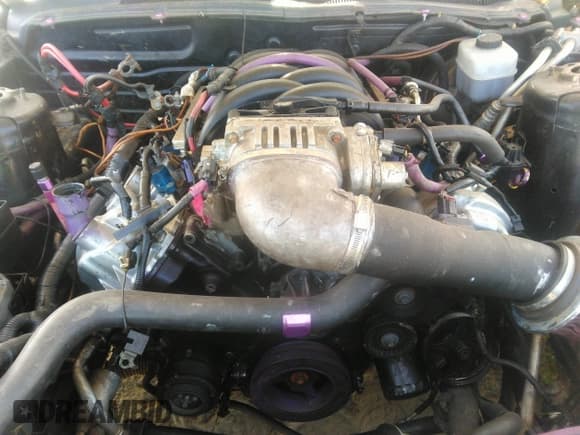 ✅ 2008 Ford Mustang GT Deluxe • VIN: 1ZVHT82H085159432 • Lot: 41028320. Listed on IAAI with 220,383 mi. Free auction sales archive from the USA and detailed vehicle history report at DreamBid. Image 6.