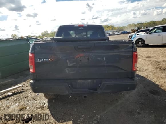 ✅ 2016 Ford F-150 XLT • VIN: 1FTEX1EP9GFD61182 • Lot: 84744605. Listed on Copart with Not provided. Free auction sales archive from the USA and detailed vehicle history report at DreamBid. Image 6.