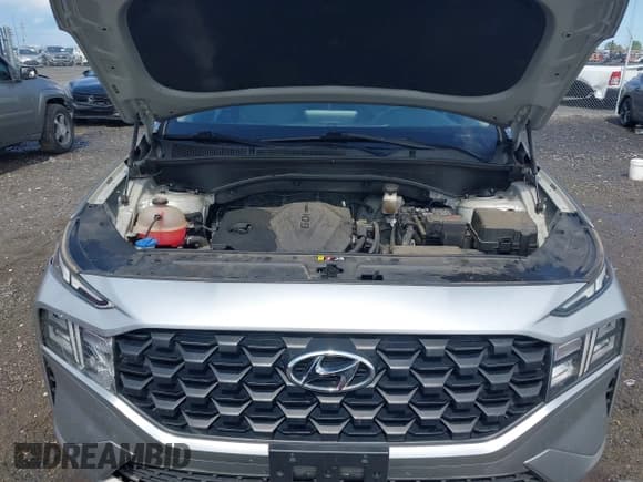 ✅ 2021 Hyundai Santa Fe SE • VIN: 5NMS1DAJ5MH329724 • Lot: 43245906. Listed on IAAI with 67,954 mi. Free auction sales archive from the USA and detailed vehicle history report at DreamBid. Image 10.