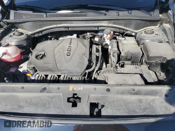 ✅ 2023 Hyundai Santa Fe SE • VIN: 5NMS1DAJ3PH628665 • Лот: 81289355. Опубликован ранее на Copart с пробегом 30 990 миль. Бесплатный доступ к архиву аукционных продаж из США и подробный отчёт об истории автомобиля на DreamBid. Изображение 11.