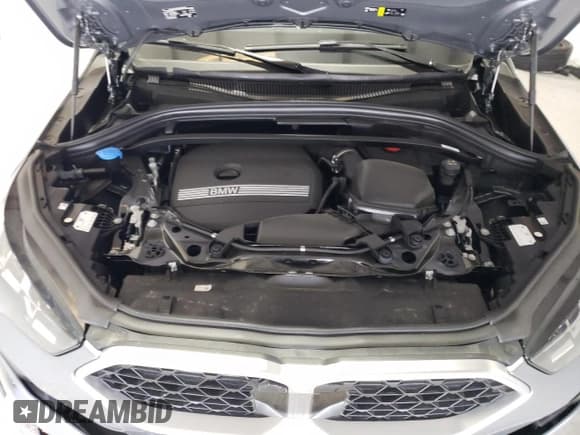 ✅ 2025 BMW X2 xDrive28i • VIN: WBX63GM04S5107548 • Lot: 51731715. Wystawiony na Copart z przebiegiem 4 144 mil. Bezpłatny archiwum sprzedaży aukcyjnych z USA i szczegółowy raport historii pojazdu na DreamBid. Zdjęcie 12.