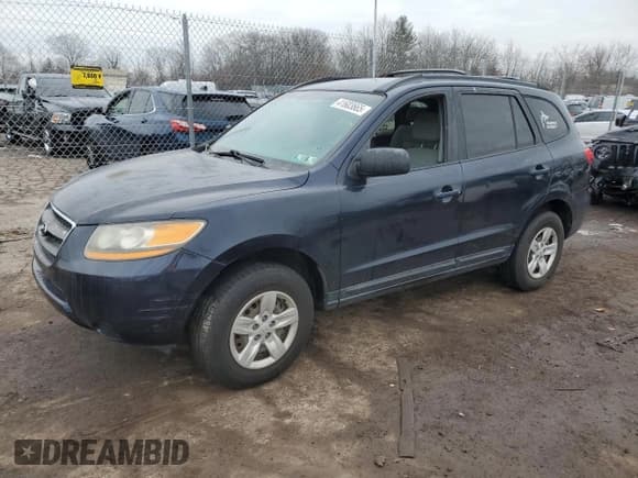 ✅ 2009 Hyundai Santa Fe GLS • VIN: 5NMSG13D89H324531 • Lot: 41603665. Listed on Copart with 132,500 mi. Free auction sales archive from the USA and detailed vehicle history report at DreamBid. Image 1.
