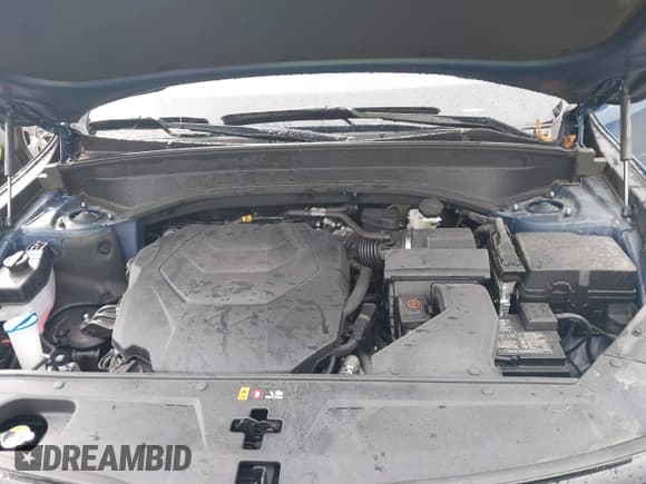 ✅ 2024 Kia Telluride SX X-Pro • VIN: 5XYP5DGC1RG504295 • Lot: 43461887. Wystawiony na IAAI z przebiegiem 29 007 mil. Bezpłatny archiwum sprzedaży aukcyjnych z USA i szczegółowy raport historii pojazdu na DreamBid. Zdjęcie 10.