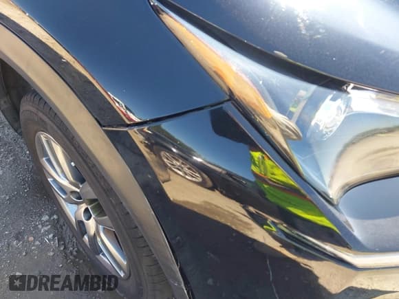 ✅ 2016 Lexus NX 300h • VIN: JTJYWRBZ1G2009917 • Lot: 42553858. Listed on IAAI with 138,106 mi. Free auction sales archive from the USA and detailed vehicle history report at DreamBid. Image 13.