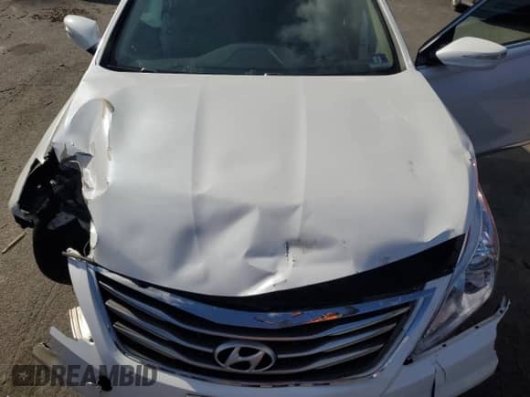 2015 Hyundai Azera z VIN KMHFG4JG6FA473991, wystawiony jako Copart lot #44105795 z przebiegiem Nie podano mil oraz Szkoda całkowita • Salvage title. Historia ofert i sprzedaży dostępna na DreamBid. Obrazek 11.