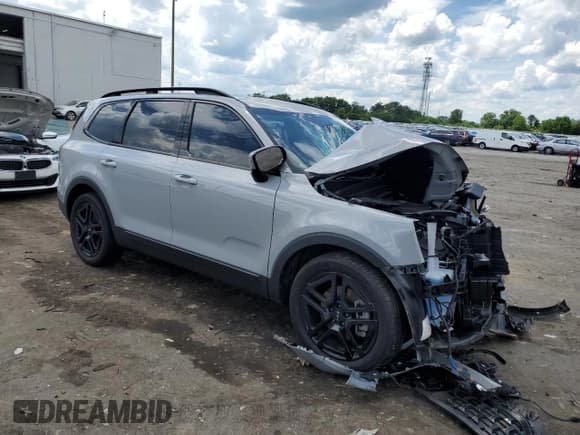 ✅ 2024 Kia Telluride SX Prestige X-Line • VIN: 5XYP5DGC3RG440826 • Lot: 56239565. Wystawiony na Copart z przebiegiem 22 685 mil. Bezpłatny archiwum sprzedaży aukcyjnych z USA i szczegółowy raport historii pojazdu na DreamBid. Zdjęcie 4.