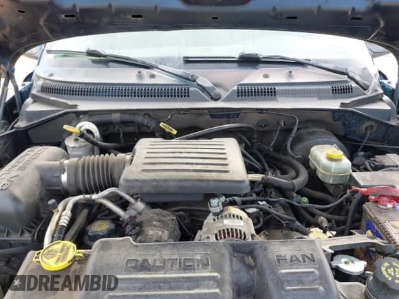 ✅ 2002 Dodge Dakota SLT • VIN: 1B7HG48N82S678086 • Lot: 42189540. Wystawiony na IAAI z przebiegiem Nie podano. Bezpłatny archiwum sprzedaży aukcyjnych z USA i szczegółowy raport historii pojazdu na DreamBid. Zdjęcie 10.