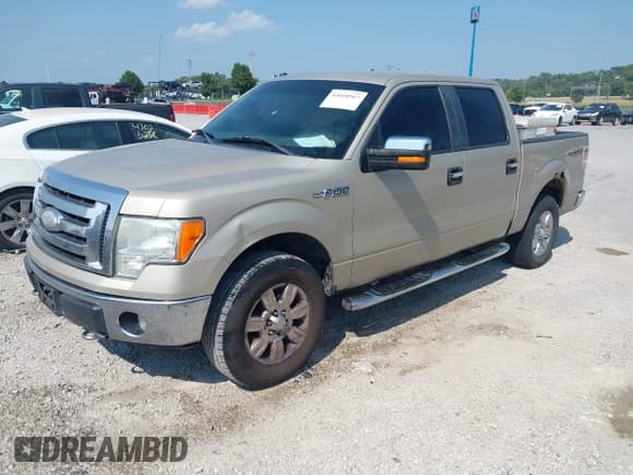 ✅ 2009 Ford F-150 XL • VIN: 1FTPW14V69FA94565 • Lot: 43018967. Wystawiony na IAAI z przebiegiem 356 935 mil. Bezpłatny archiwum sprzedaży aukcyjnych z USA i szczegółowy raport historii pojazdu na DreamBid. Zdjęcie 2.