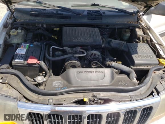 ✅ 2001 Jeep Grand Cherokee Laredo • VIN: 1J4GW48N21C505942 • Lot: 60498825. Listed on Copart with 258,115 mi. Free auction sales archive from the USA and detailed vehicle history report at DreamBid. Image 11.