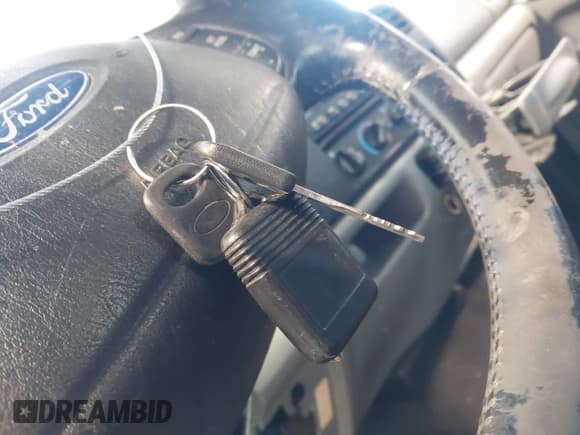 ✅ 2004 Ford F-250 XL • VIN: 1FTNX21L34EA33587 • Lot: 42839511. Listed on IAAI with Not provided. Free auction sales archive from the USA and detailed vehicle history report at DreamBid. Image 11.