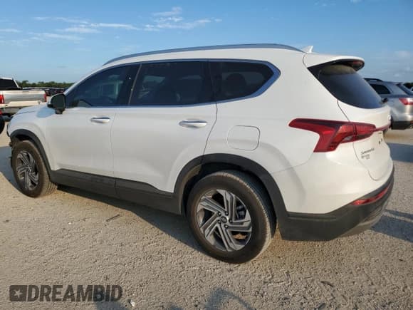 ✅ 2023 Hyundai Santa Fe SEL • VIN: 5NMS24AJ5PH607443 • Lot: 63231654. Wystawiony na Copart z przebiegiem 11 320 mil. Bezpłatny archiwum sprzedaży aukcyjnych z USA i szczegółowy raport historii pojazdu na DreamBid. Zdjęcie 2.