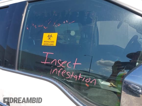 ✅ 2015 Ford F-150 XLT • VIN: 1FTEW1EG1FFA70273 • Lot: 42982925. Listed on IAAI with Not provided. Free auction sales archive from the USA and detailed vehicle history report at DreamBid. Image 5.