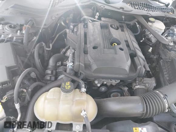 ✅ 2016 Ford Mustang EcoBoost Premium • VIN: 1FATP8UHXG5216870 • Lot: 43015703. Wystawiony na IAAI z przebiegiem 91 059 mil. Bezpłatny archiwum sprzedaży aukcyjnych z USA i szczegółowy raport historii pojazdu na DreamBid. Zdjęcie 10.