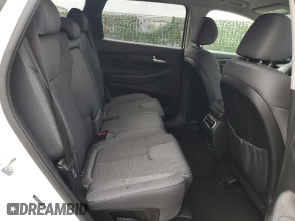 ✅ 2023 Hyundai Santa Fe SEL • VIN: 5NMS2DAJ8PH599810 • Lot: 38441824. Wystawiony na Copart z przebiegiem 4 411 mil. Bezpłatny archiwum sprzedaży aukcyjnych z USA i szczegółowy raport historii pojazdu na DreamBid. Zdjęcie 11.