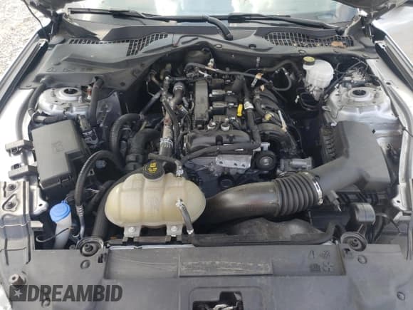 ✅ 2021 Ford Mustang EcoBoost • VIN: 1FA6P8TH6M5134399 • Lot: 80547865. Listed on Copart with 38,765 mi. Free auction sales archive from the USA and detailed vehicle history report at DreamBid. Image 11.