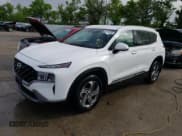 ✅ 2023 Hyundai Santa Fe SEL • VIN: 5NMS24AJ0PH564209 • Lot: 54787784. Wystawiony na Copart z przebiegiem 20 660 mil. Bezpłatny archiwum sprzedaży aukcyjnych z USA i szczegółowy raport historii pojazdu na DreamBid. Zdjęcie 1.