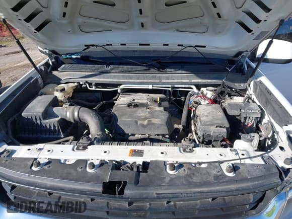 ✅ 2019 Chevrolet Colorado 2WD Work Truck • VIN: 1GCHSBEA1K1211957 • Lot: 43512313. Wystawiony na IAAI z przebiegiem 99 470 mil. Bezpłatny archiwum sprzedaży aukcyjnych z USA i szczegółowy raport historii pojazdu na DreamBid. Zdjęcie 10.