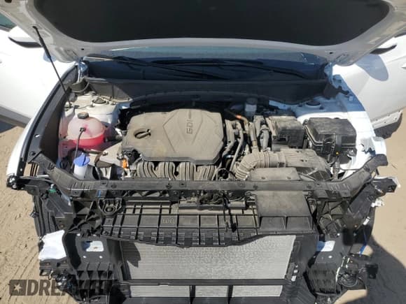 ✅ 2024 Hyundai Tucson SEL • VIN: 5NMJB3DE1RH335349 • Lot: 86785225. Listed on Copart with 10,568 mi. Free auction sales archive from the USA and detailed vehicle history report at DreamBid. Image 12.