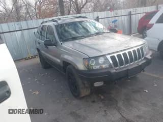 ✅ 2000 Jeep Grand Cherokee Laredo • VIN: 1J4GW48S9YC402453 • Lot: 43875843. Listed on IAAI with 194,680 mi. Free auction sales archive from the USA and detailed vehicle history report at DreamBid. Image 1.
