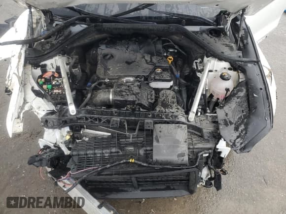 ✅ 2023 Genesis GV70 2.5T • VIN: KMUMADTB3PU125996 • Lot: 47834295. Listed on Copart with 46,771 mi. Free auction sales archive from the USA and detailed vehicle history report at DreamBid. Image 12.