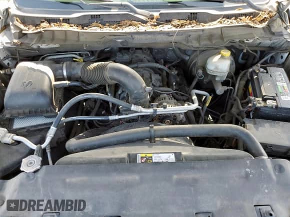 2013 Ram 1500 Express z VIN 1C6RR6KT5DS655893, wystawiony jako Copart lot #72066815 z przebiegiem 306 112 mil mil oraz Szkoda całkowita • Salvage title. Historia ofert i sprzedaży dostępna na DreamBid. Obrazek 11.