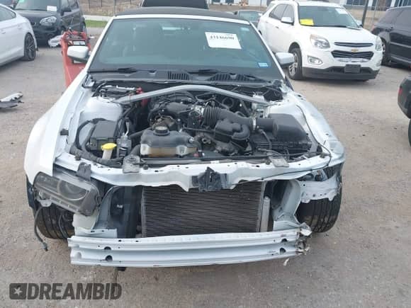 2014 Ford Mustang V6 с VIN 1ZVBP8EM6E5320297, выставлен на аукционе IAAI как лот 43146690 с пробегом 160 174 миль миль и . История ставок и продаж доступна на DreamBid. Изображение 13.